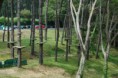 /album/fotogaleria-santanders-forestal-park/forestal-park-jpg/